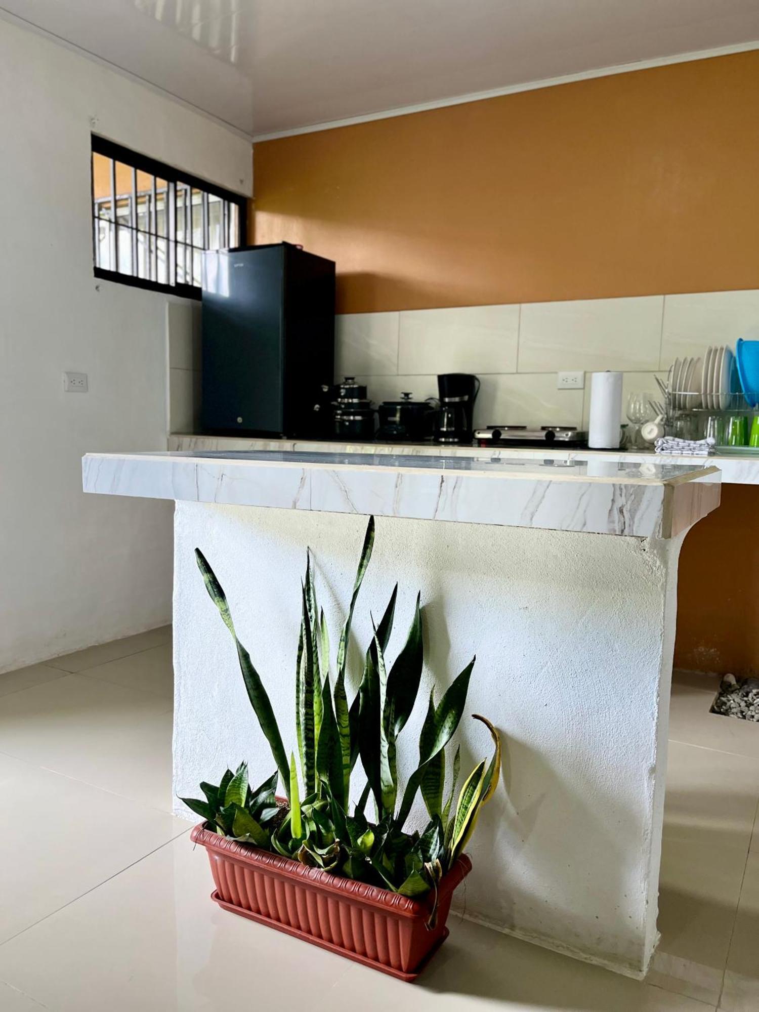 Corcovado House With Ac Apartment Puerto Jimenez Exterior photo